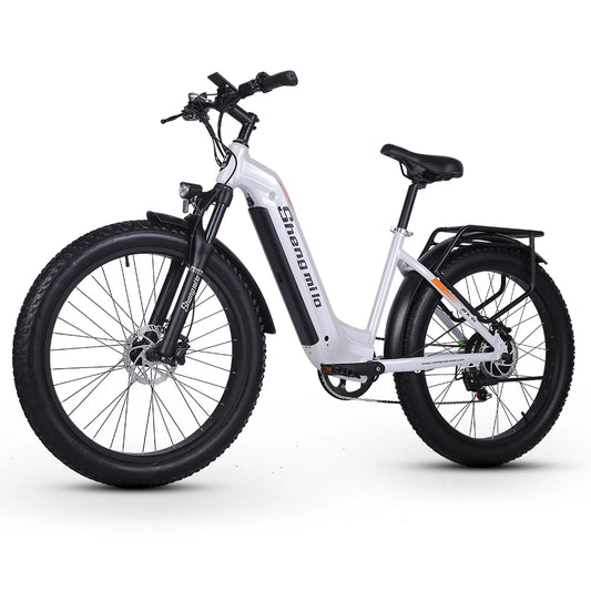 Adult 1000W Electric Bicycle with BAFANG Motor,840WH Battery,26 Inch Wide Tire