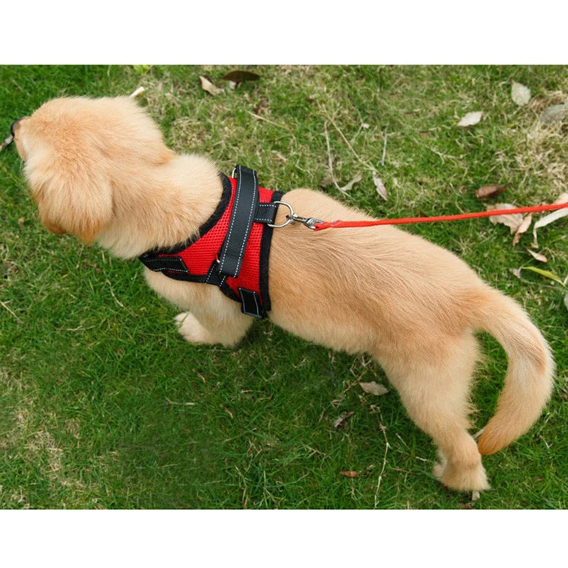 Soft Adjustable Chest Body Strap for Dog