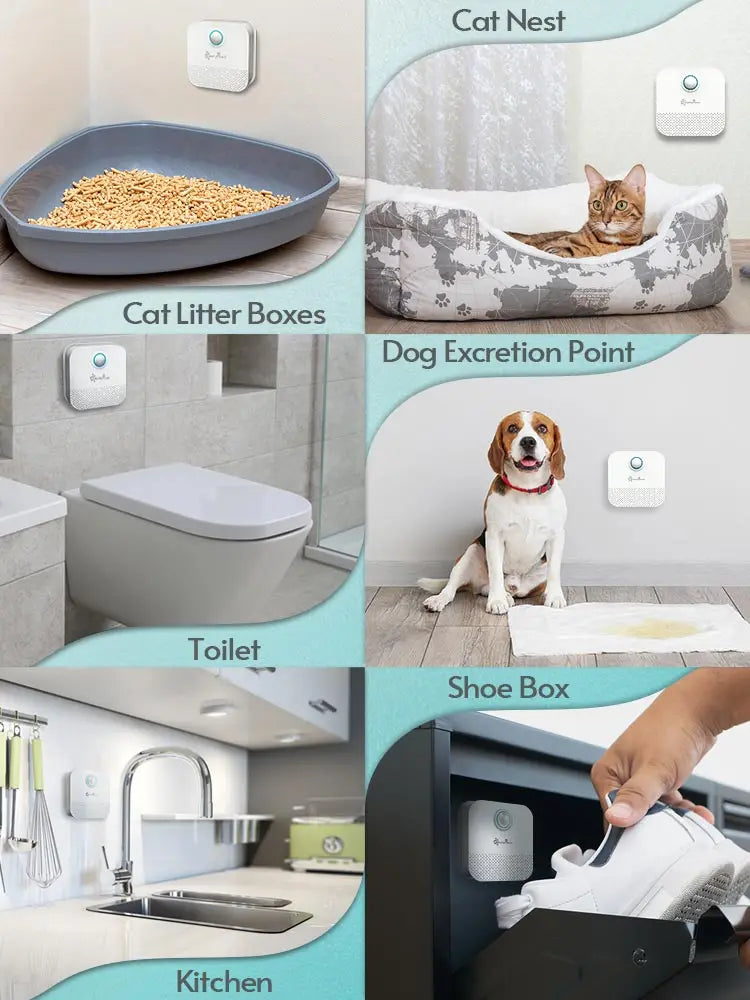 Smart Odor Purifier For Cat Litter Box