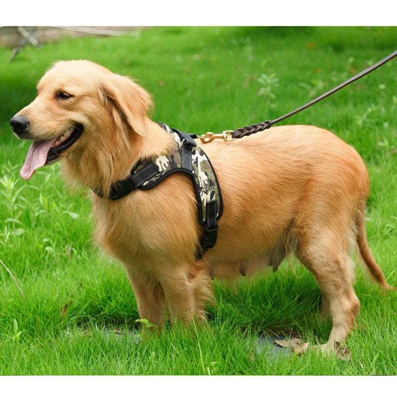 Soft Adjustable Chest Body Strap for Dog